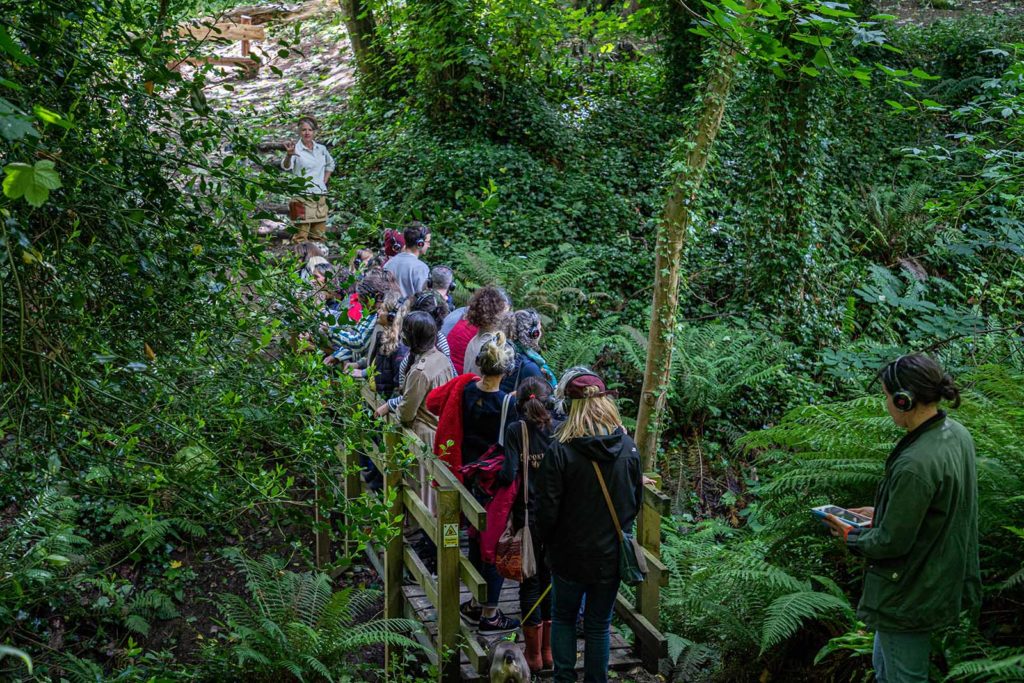 A group of people wearing headphones stand on a bridge in a wooded area. They are on a sound walk. The vegetation is very lush.