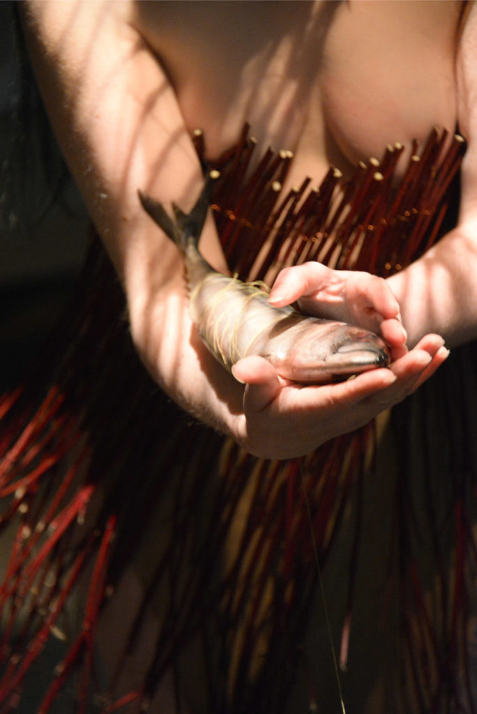 Sandra Corrigan Breathnach, dressed in a handmade garment made of vibrant red dogwood and copper wire, which presses into her chest, holds a Mackerel wrapped in bright yellow thread outstretched part laid upon her right hand with tail extending down her arm.  She holds her left hand in a protective gesture just above the Mackerels head, with shadow lines of a dogwood headdress spreading across the Mackerel and both her chest and arms.